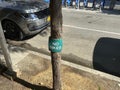 Bike sign protecting tree in NYC