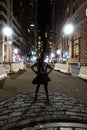 New York, NY /USA - November 23, 2018: Fearless Girl Royalty Free Stock Photo