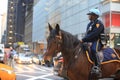 Nypd horse unit patrol in New York