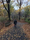 Stroll through Central Park