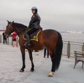 New York Police Department mounted unit police officer with USNS Comfort Hospital Ship on background protects public in Brooklyn
