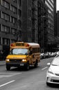 New York School bus