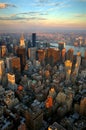 New York skyline Royalty Free Stock Photo