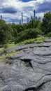 The New York Skyline as seen from Central Park Royalty Free Stock Photo