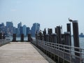 New York skyline from Ellis Island in daytime