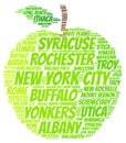 New York State apple