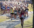 New York State girls cross country championship race at Bowdoin Park Royalty Free Stock Photo