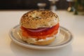 New York Style Bagel with smoked salmon with cream cheese, tomato, onion and capers Royalty Free Stock Photo