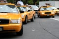 New York taxi cabs