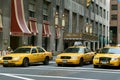 New York Taxis