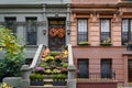 New York townhouses covered in colorful stucco