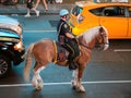 New York Horse Police patrol the streets