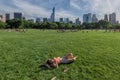 NEW YORK - USA - 14 JUNE 2015 people in central park on sunny sunday Royalty Free Stock Photo