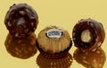 New York, USA - May 31, 2023: ferrero rocher chocolate and hazelnut confectionery. chocolate consists of whole roasted hazelnut