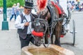 NEW YORK, USA - MAY 5, 2018: A horse and buggy carriage with coachman in Central Park in New York City. Royalty Free Stock Photo