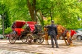 A horse and buggy carriage with coachman in Central Park in New York City. The carriage rides are in danger of being banned for Royalty Free Stock Photo