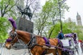 NEW YORK, USA - MAY 5, 2018: A horse and buggy carriage with coachman in Central Park in New York City. Royalty Free Stock Photo