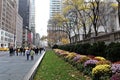 5th avenue with pedestrians and taxis in front of public library of New York