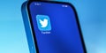 New York, USA - November 30, 2022: Twitter logo icon on cellphone. Twitter is microblogging and social networking service owned by