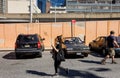 Parked cars near the yellow fence Royalty Free Stock Photo