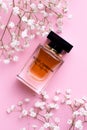 New York, USA 12 24 2020 Women`s perfume Dolce Gabana in the bottle. delicate pink background with white flowers vertical Royalty Free Stock Photo