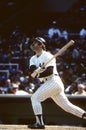 New York Yankees Captain Thurman Munson. Royalty Free Stock Photo