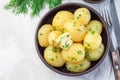 New young boiled  potato topped with melted butter and chopped dill in ceramic bowl, horizontal,  top view, copy space Royalty Free Stock Photo