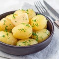 New young boiled potato topped with melted butter and chopped dill in a ceramic bowl, square format Royalty Free Stock Photo