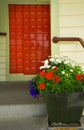 New Zealand Arrowtown cityscape wood houses Post office