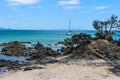 New Zealand beach in Summer