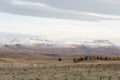 New Zealand on a beautiful autumn morning view from Tekapo. June 2018