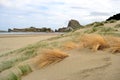 New Zealand beautiful coast Castlepoint