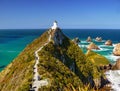 New Zealand, Catlins Coast, Nugget Point Royalty Free Stock Photo