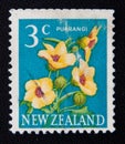 New Zealand circa shows image of puarangi flowers, circa 1979