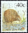 NEW ZEALAND - CIRCA 1988: A stamp printed in New Zealand shows a Brown kiwi Apteryx mantelli, circa 1988.