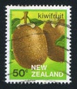 Kiwifruit