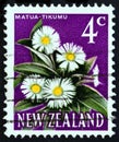 NEW ZEALAND - CIRCA 1967: A stamp printed in New Zealand shows Matua tikumu Mountain daisy, circa 1967. Royalty Free Stock Photo