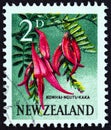 NEW ZEALAND - CIRCA 1960: A stamp printed in New Zealand shows Kowhai Ngutu-kaka Kaka Beak, circa 1960.