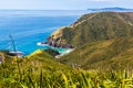 New Zealand coastline looking towards Spirits bay Royalty Free Stock Photo