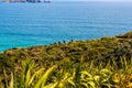 New Zealand coastline looking towards Spirits bay Royalty Free Stock Photo