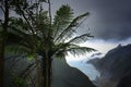 New Zealand contrasts at Franz Josef Glacier Royalty Free Stock Photo