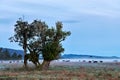 New Zealand. The countryside driving on the State Highway 6 at sunrise. West Coast. South Island