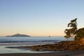 New Zealand: evening at beach with island