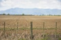 New Zealand farming industry in countryside