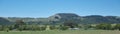 New Zealand farming industry in North Island countryside