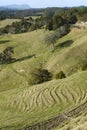 New Zealand: farmland landscape with erosion - v Royalty Free Stock Photo