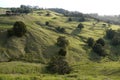 New Zealand: farmland landscape - h Royalty Free Stock Photo