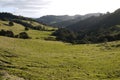 New Zealand: farmland landscape with rugged hills - h