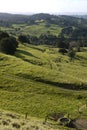 New Zealand: farmland landscape - v Royalty Free Stock Photo