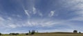 New Zealand farmland